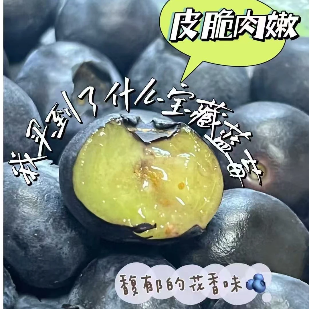 【达吾水果】同城次日达云南空运L25花香蓝莓18+杯蓝莓云南省