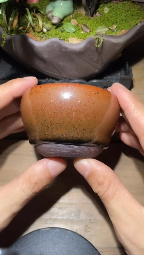 茶盏老木头精选茶器22