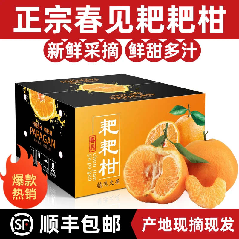四川春见耙耙柑水果新鲜耙耙桔子正宗粑粑柑橘子精品礼盒产地顺丰