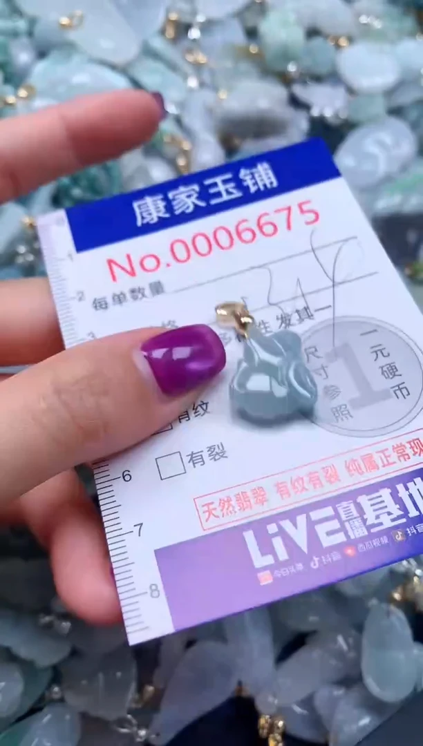 颈饰未镶嵌翡翠6675