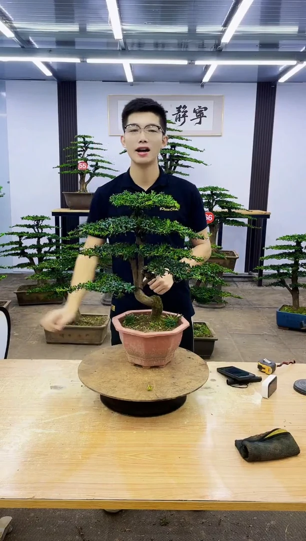 无花朵阮*生00000000000000000