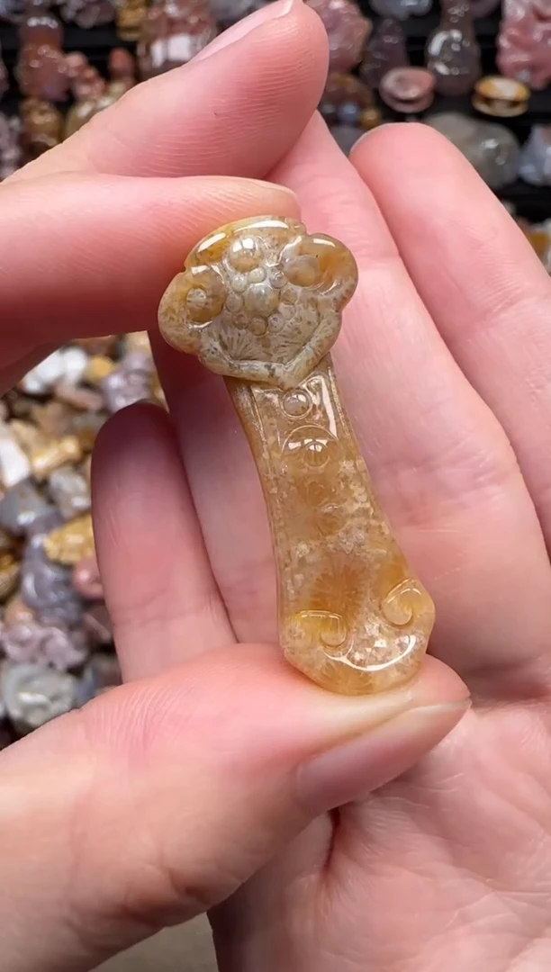 颈饰未镶嵌硅化珊瑚（珊瑚玉）759