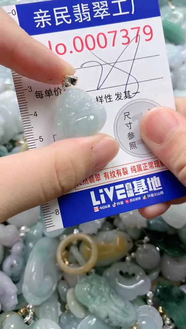 翡翠未镶嵌吊坠(不含链)7379