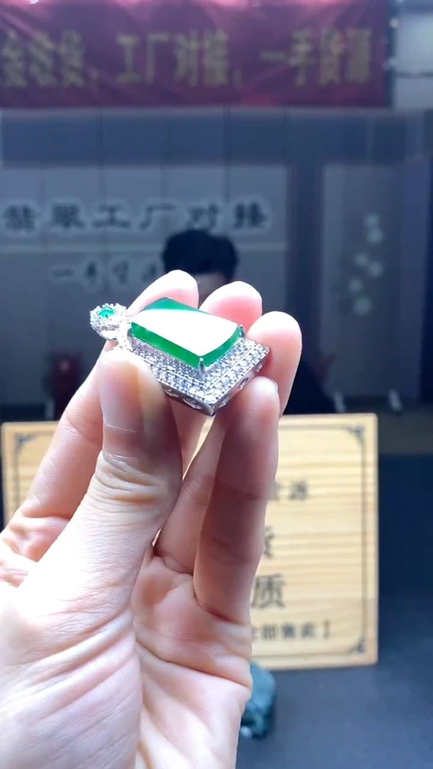 翡翠未镶嵌颈饰********604