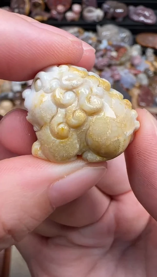 颈饰未镶嵌硅化珊瑚（珊瑚玉）527
