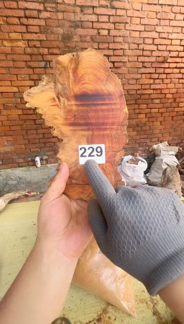 柏木太行陈化崖柏现切先拍！卡  1.5 随机一片！！！（1单1片）229