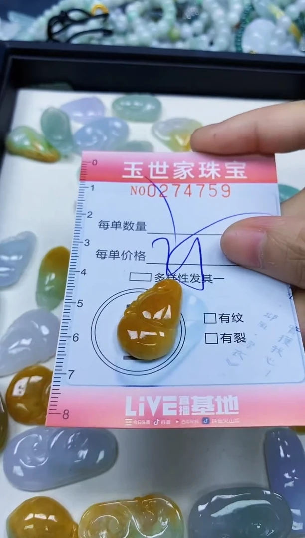 翡翠未镶嵌颈饰闪购0274759