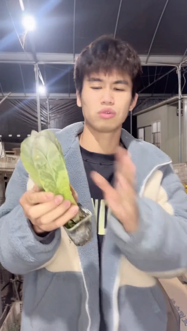 【闪购商品】3颗 带木质化 鸾凤玉 5-7cm