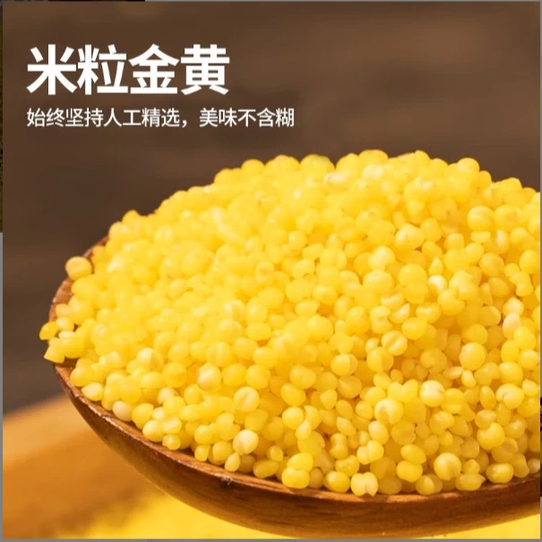 【夏天助农】500克高山农家小米黄米