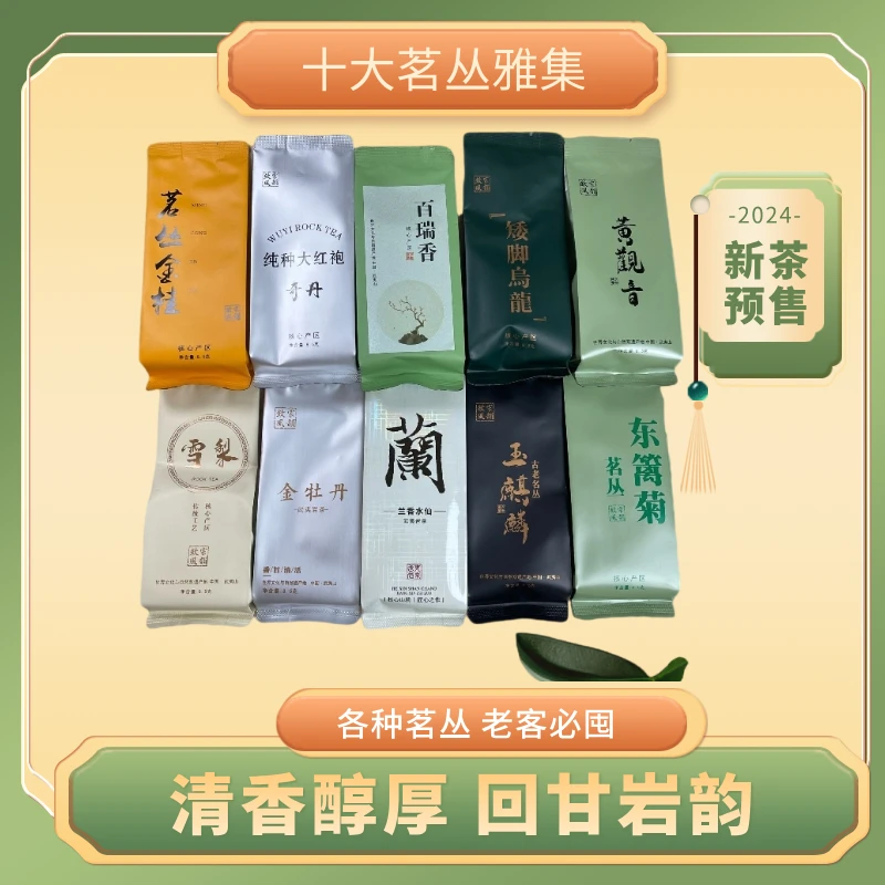 武夷岩茶十大茗丛雅集85g泡袋礼盒清香纯手工正品高端