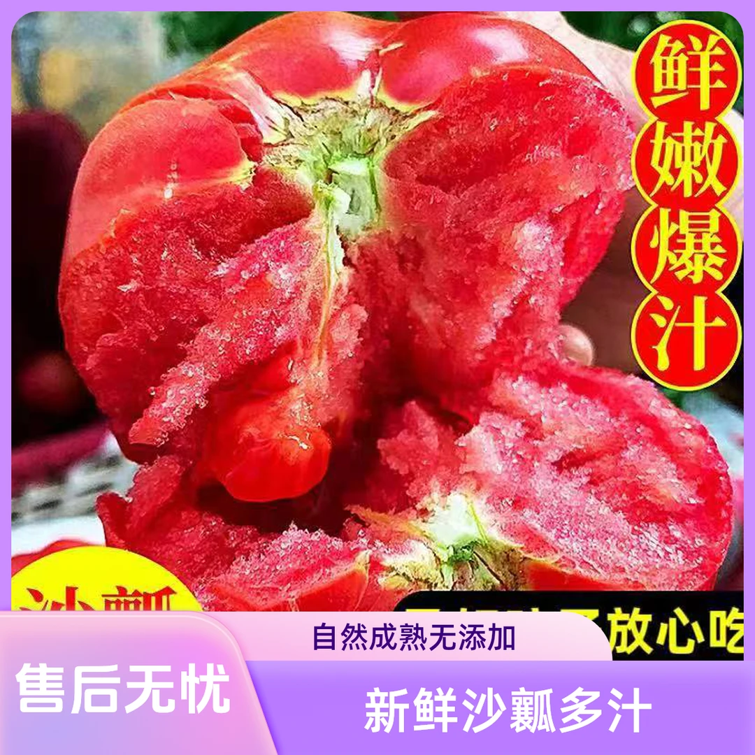 正宗老品种沙瓤番茄农家种植水果新鲜西红柿5斤