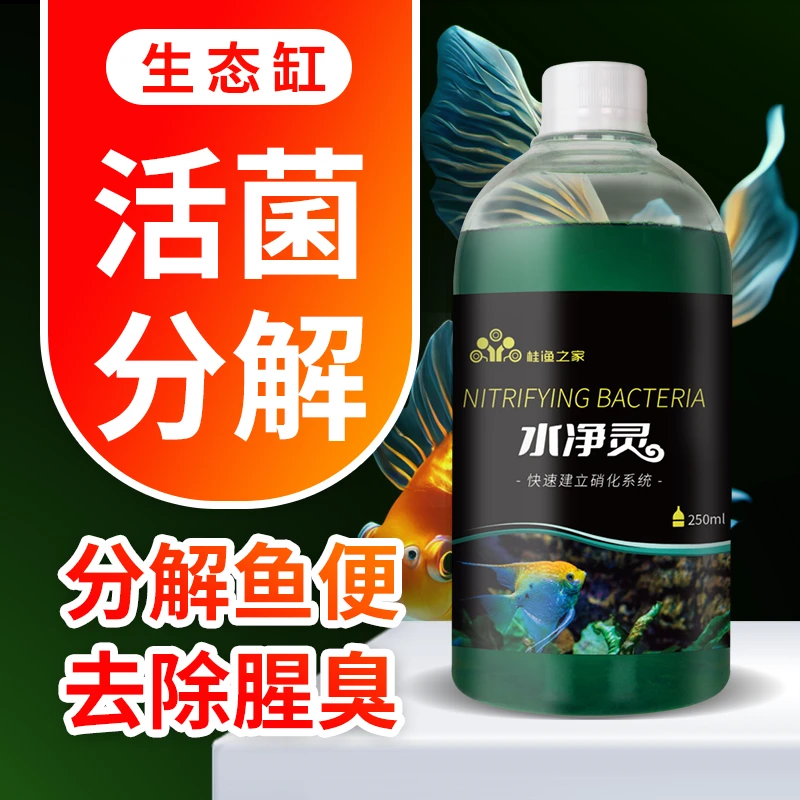 硝化细菌鱼缸不换水养鱼净化水质稳定剂消化分解鱼粪硝化活菌液
