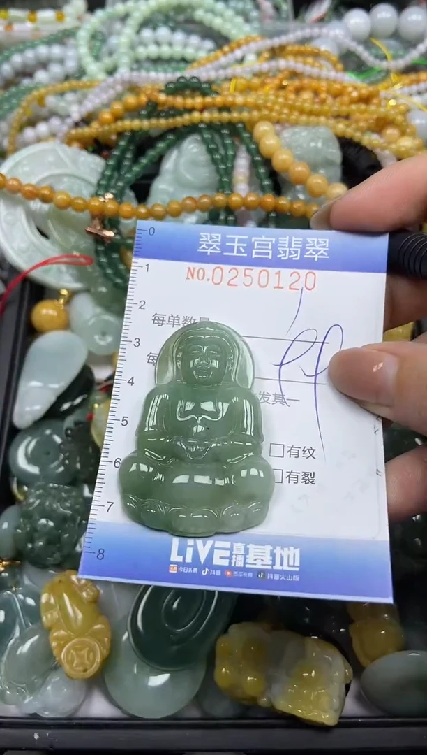 颈饰未镶嵌翡翠闪购C0250120