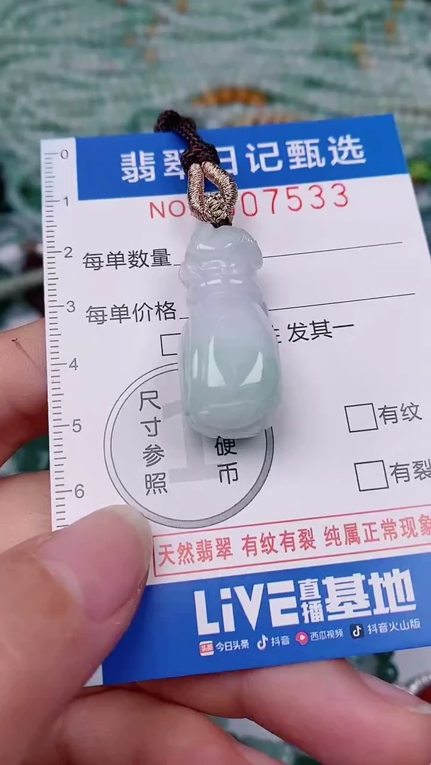 【闪购商品】翡翠颈饰未镶嵌00007533
