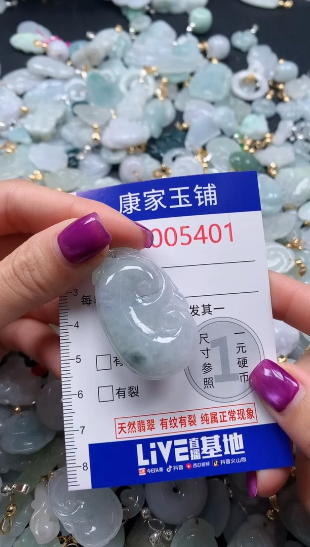 颈饰未镶嵌翡翠5401