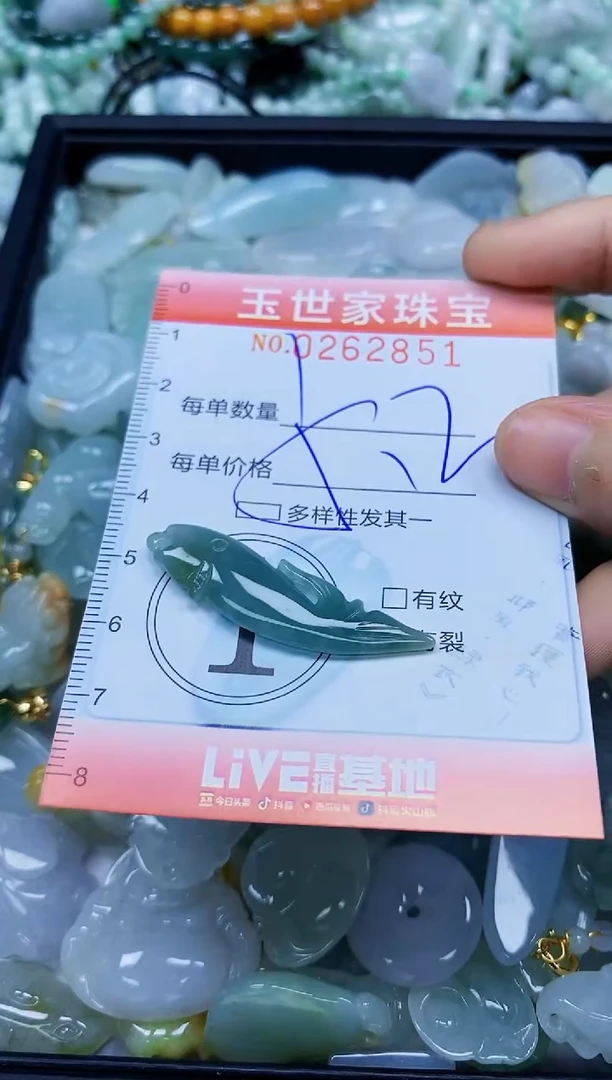 翡翠未镶嵌颈饰闪购0262851