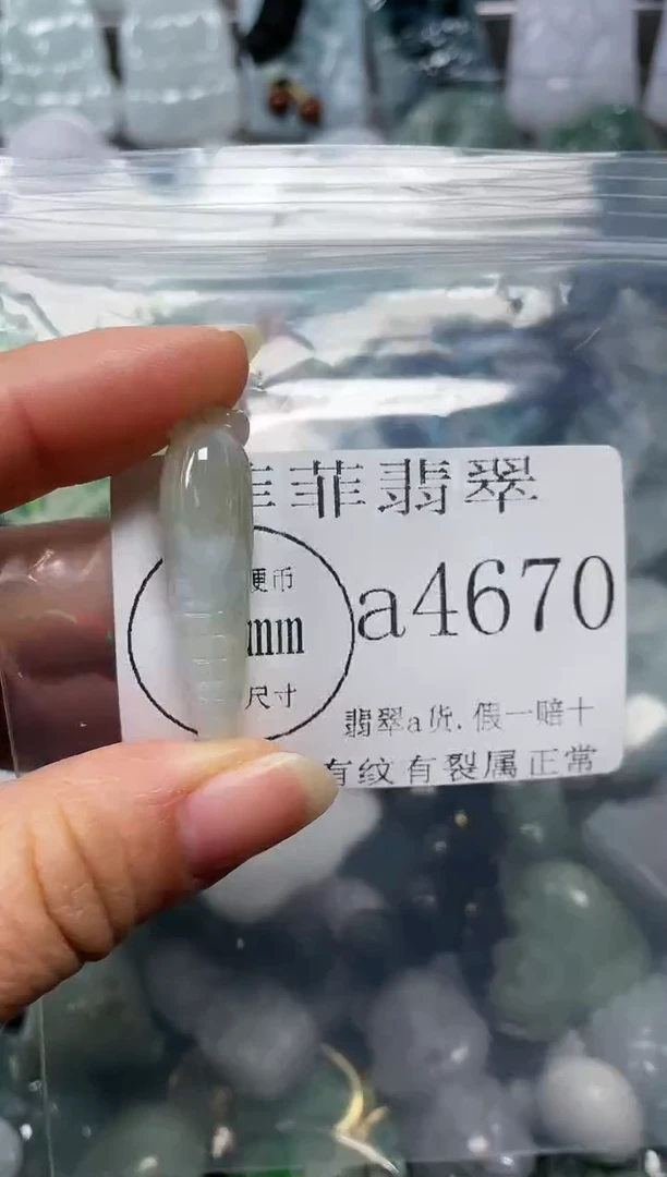 【闪购商品】翡翠颈饰未镶嵌闪购4670