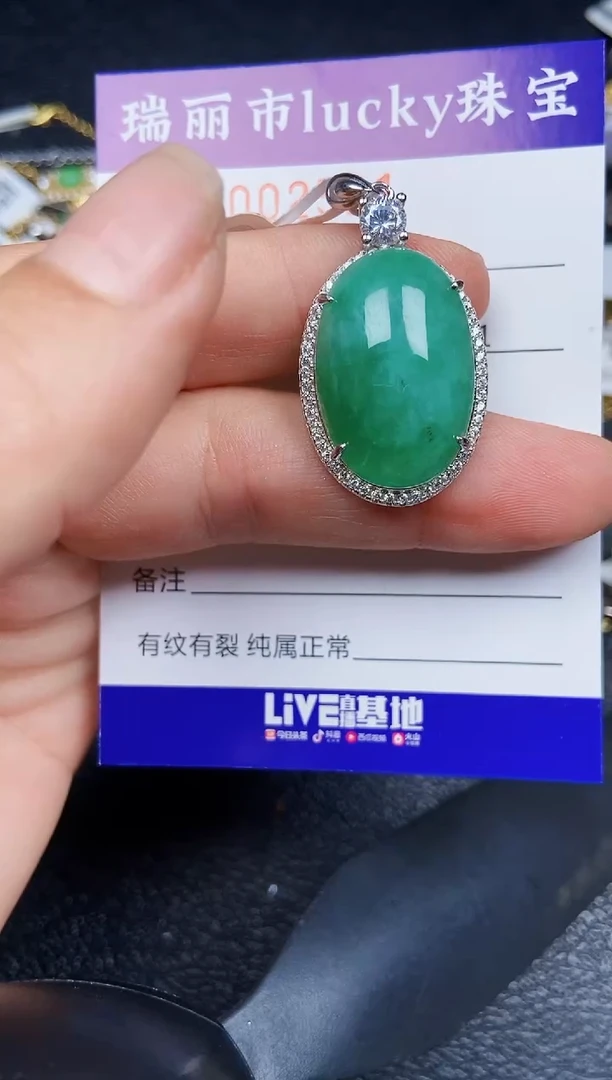 翡翠银S925镶嵌颈饰2521