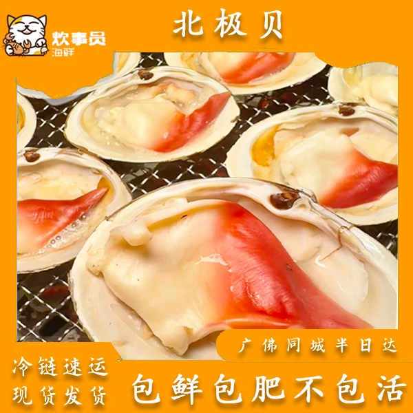 三斤超鲜甜北极贝 野生北极贝扇贝活发 包鲜不包活 新风港发货