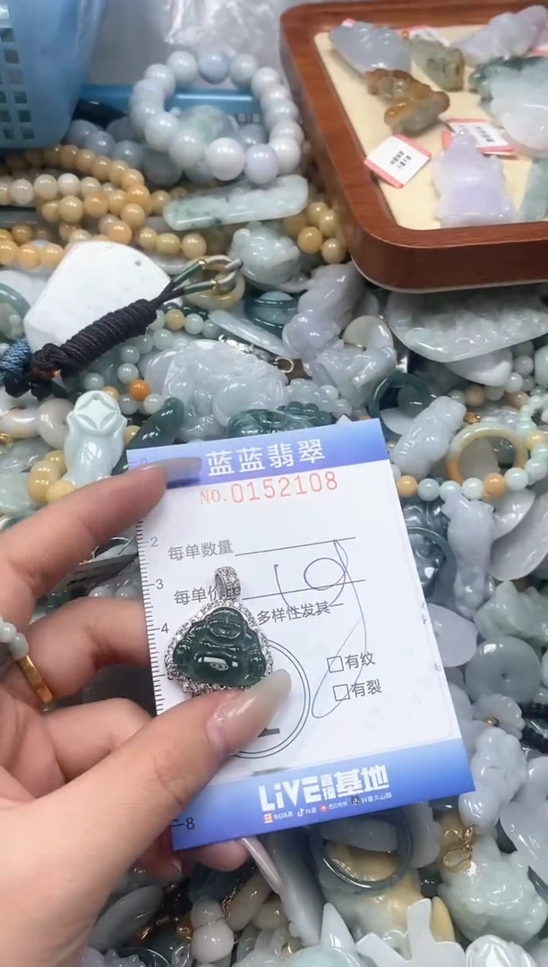 【闪购商品】翡翠颈饰未镶嵌闪购0152108