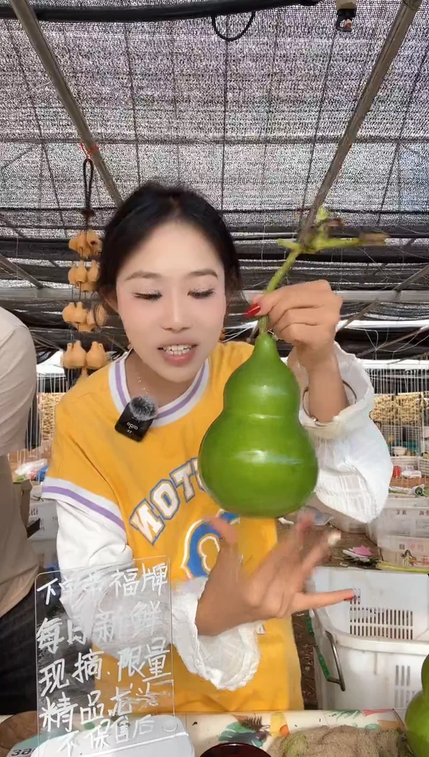 389天然葫芦摆件 一物一拍龙头不保售后