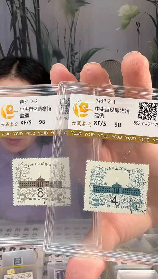 特31 博物馆盖销闪购福利