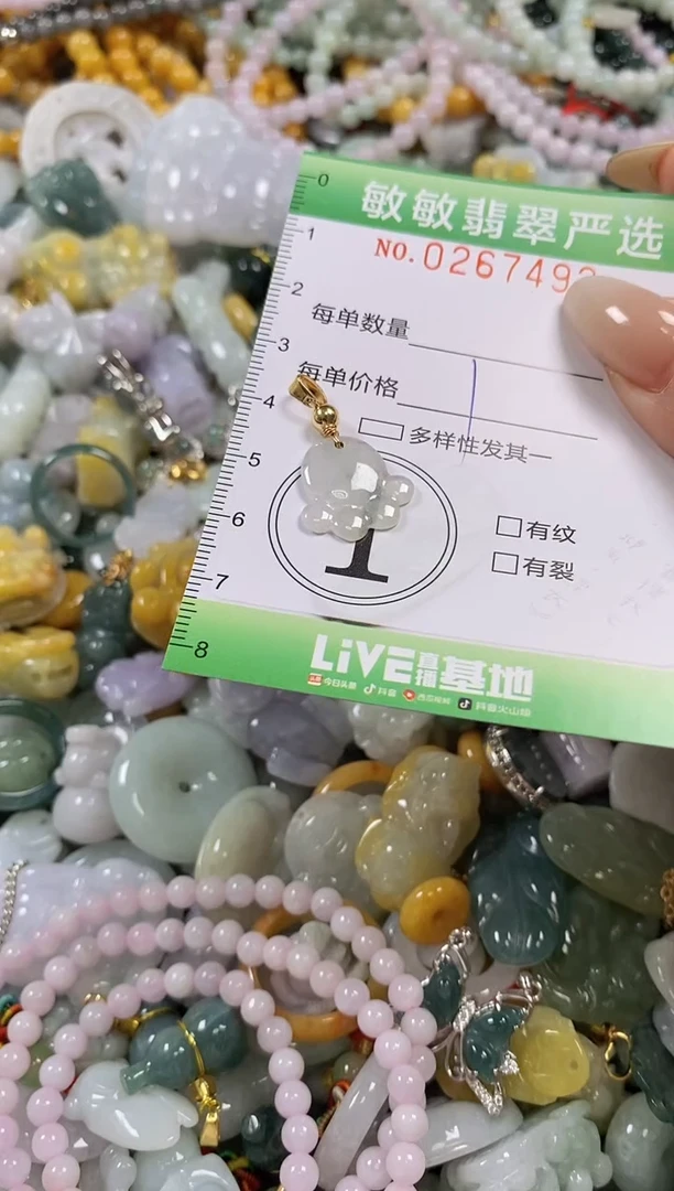 翡翠未镶嵌颈饰闪购0267492