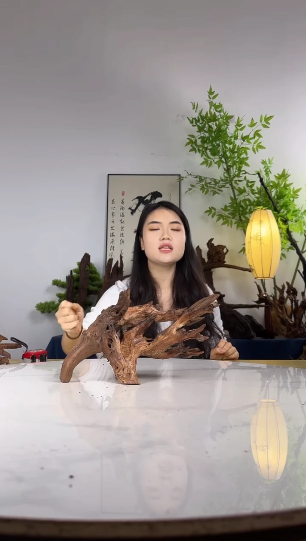 新*拍这个定向编号73
