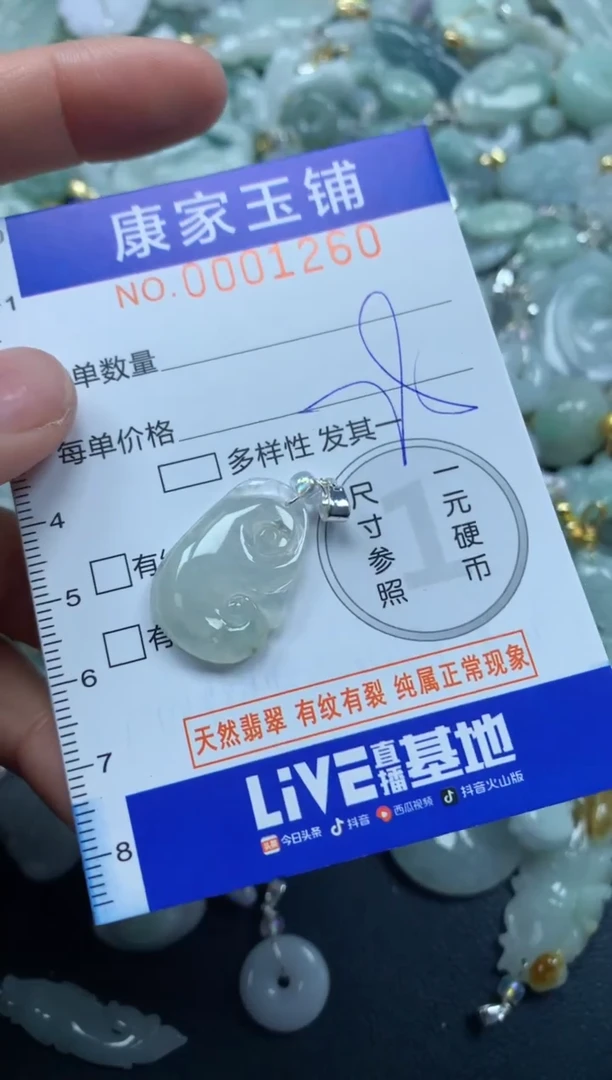 颈饰未镶嵌翡翠1260