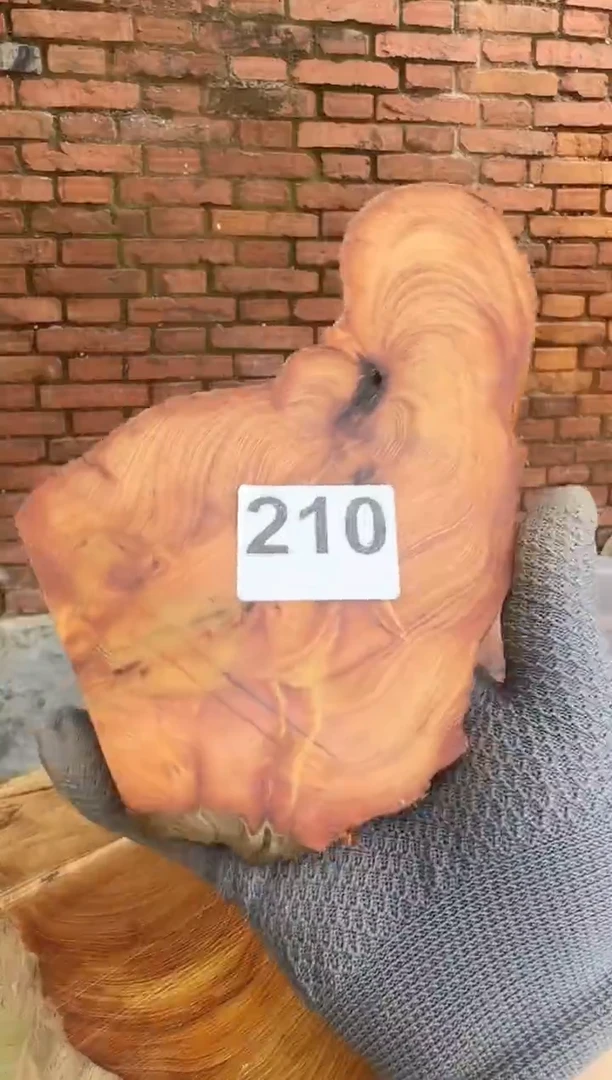柏木太行陈化崖柏现切先拍！卡2.0   随机一片！！！（1单1片）210