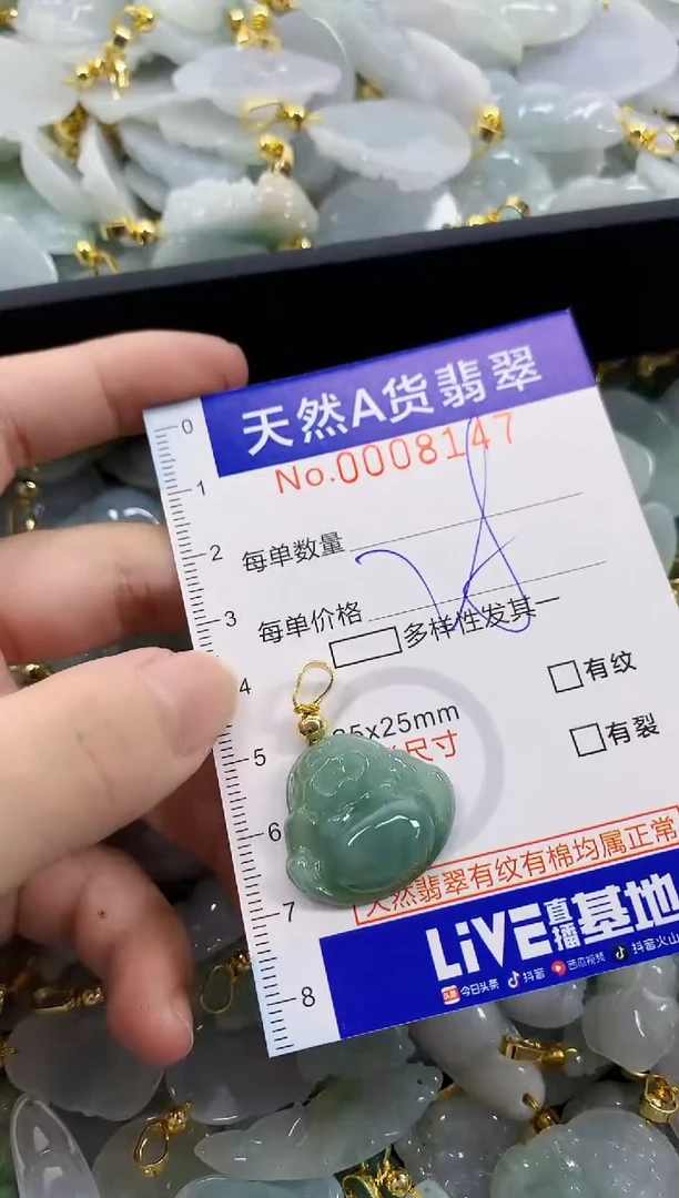 颈饰未镶嵌翡翠天然A货翡翠