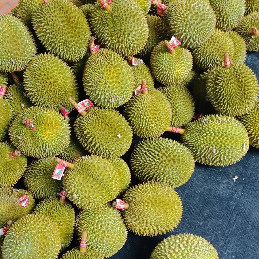 A【EMS空运】新鲜榴莲现场挑选2斤起 核大 运输干耗10%左右