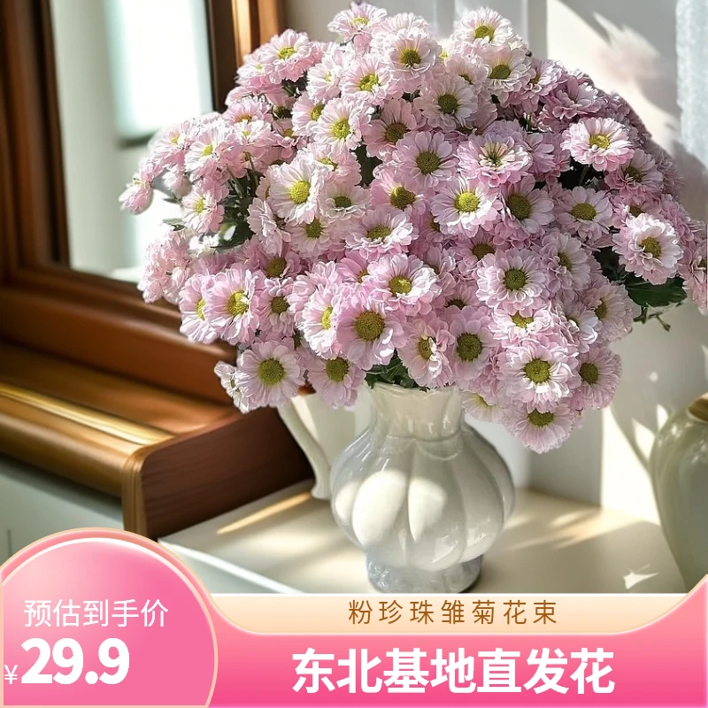 东北鲜花基地直发网红鲜切花（粉珍珠）小雏菊（8-10支）