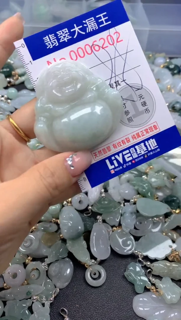 颈饰未镶嵌翡翠6202