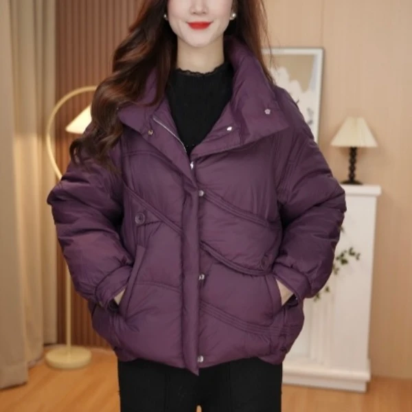立领羽绒服2024年冬季新款百搭时尚外套11511