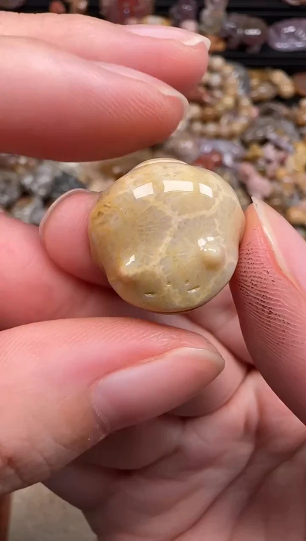 硅化珊瑚（珊瑚玉）未镶嵌颈饰034