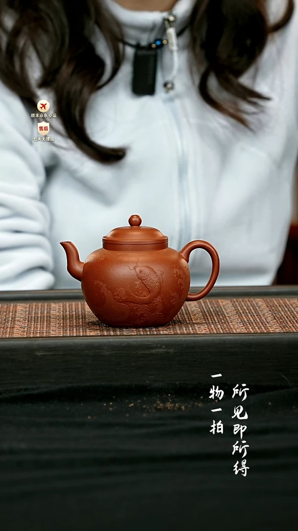 茶壶紫砂全手鱼越龙门·宫灯壶 一物见春