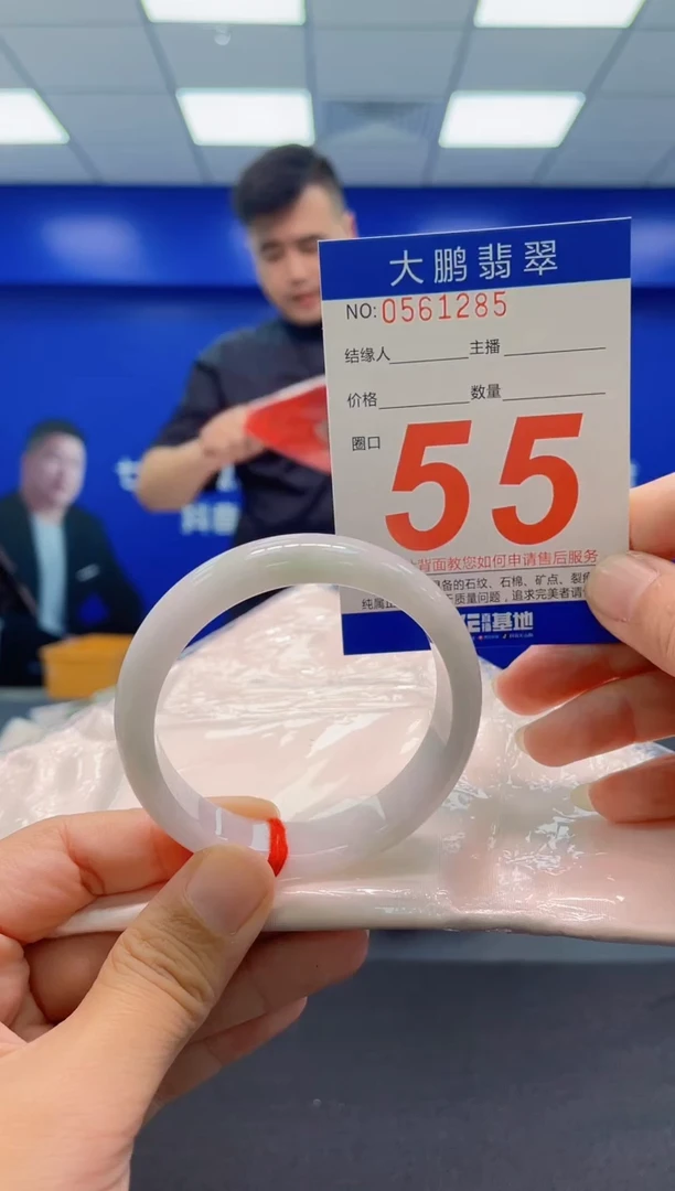 未镶嵌手镯翡翠AAAAAAAAA