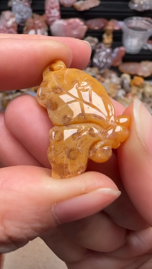 【闪购商品】硅化珊瑚（珊瑚玉）颈饰未镶嵌129