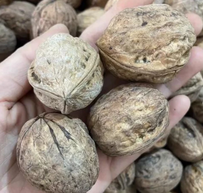 新疆阿克苏185纸皮核桃原味原生态未清洗营养价值高