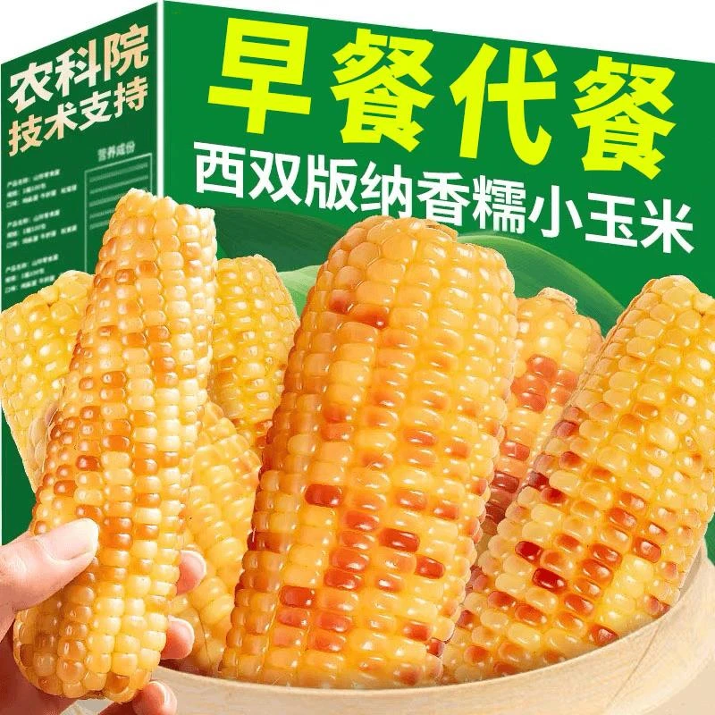 糯玉米云南西双版纳特产美食香糯小玉米真空即食减脂玉米甜糯玉米