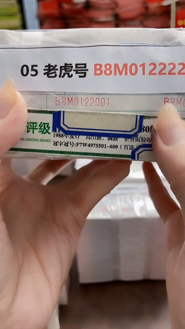 M 05 老虎号 B8M0122222
