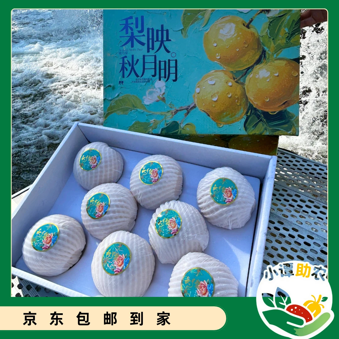 正宗秋月梨新鲜当季水果皮薄多汁礼盒售卖