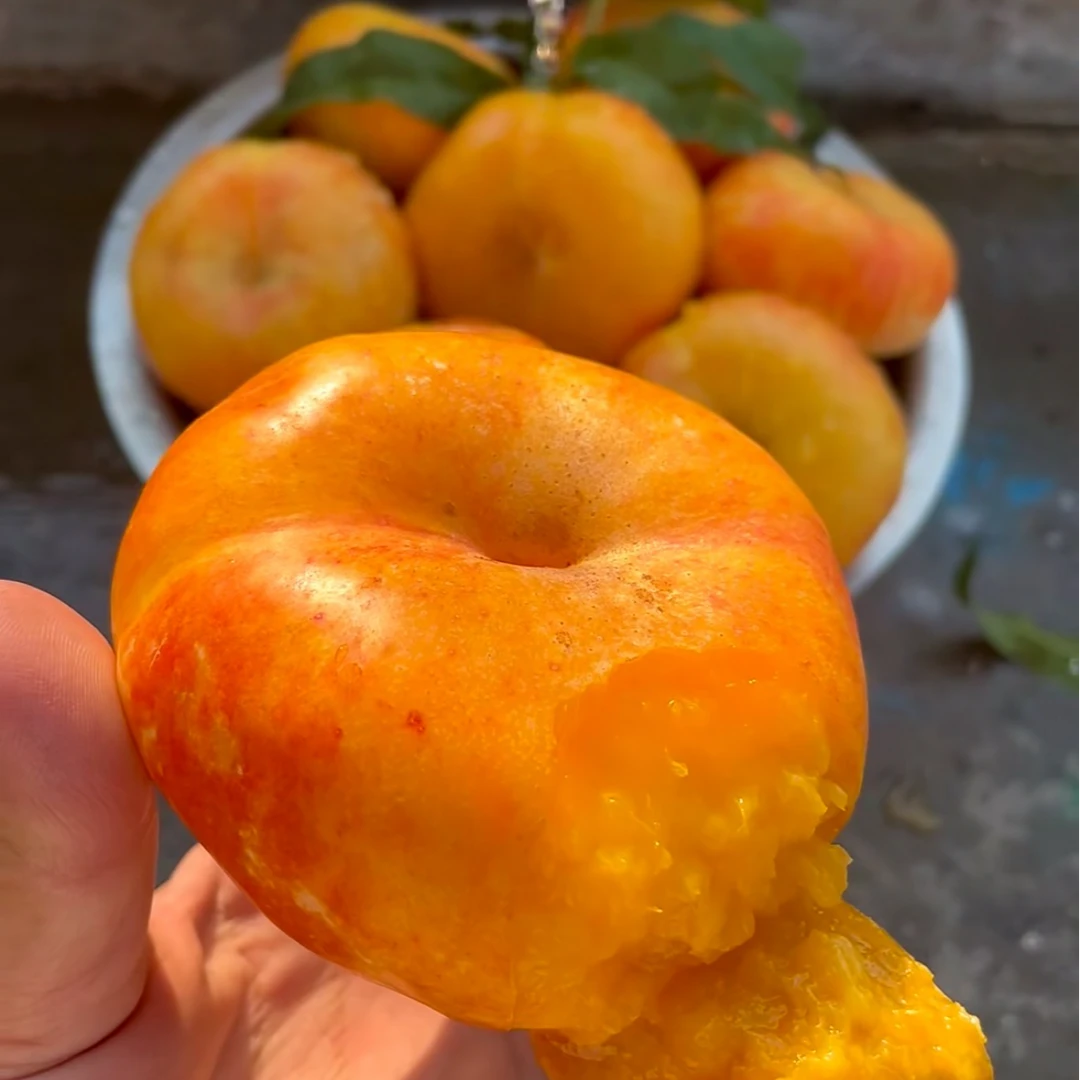 油蟠桃 山东蒙阴 新鲜桃子满满肉感 顺丰包邮山东省