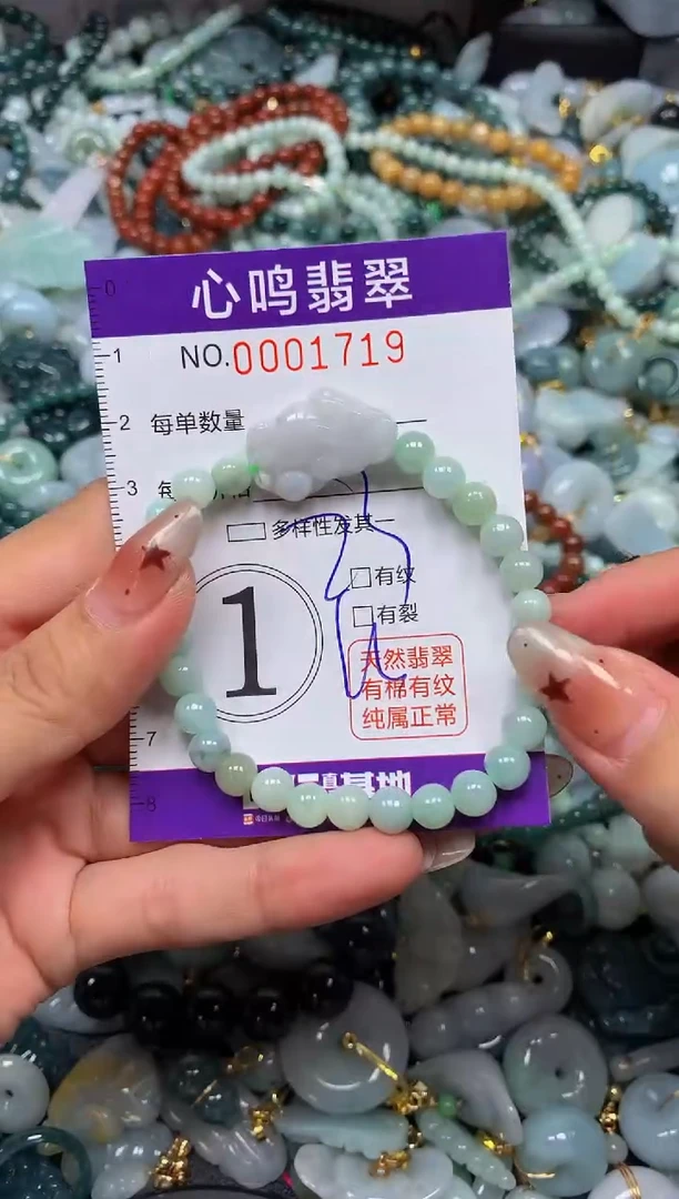 翡翠未镶嵌颈饰闪购001719