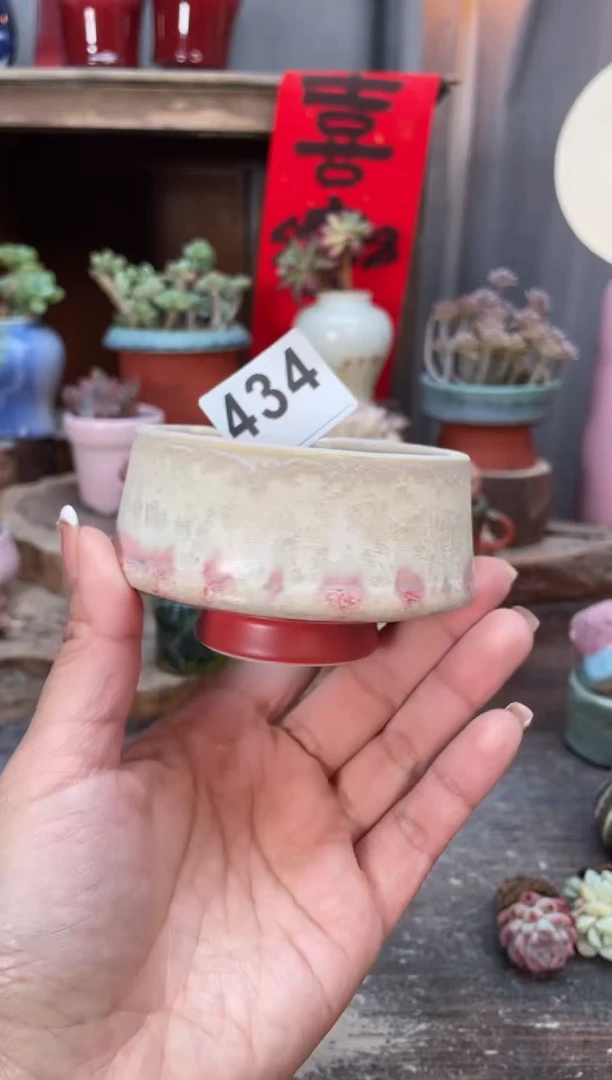 【闪购商品】摆件434知木小芳花盆