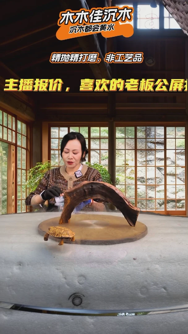 彤***柔木木佳沉木鱼缸造景-833