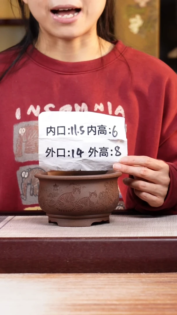 紫砂花盆紫泥刻绘猫咪迷你矮圆盆一只无托