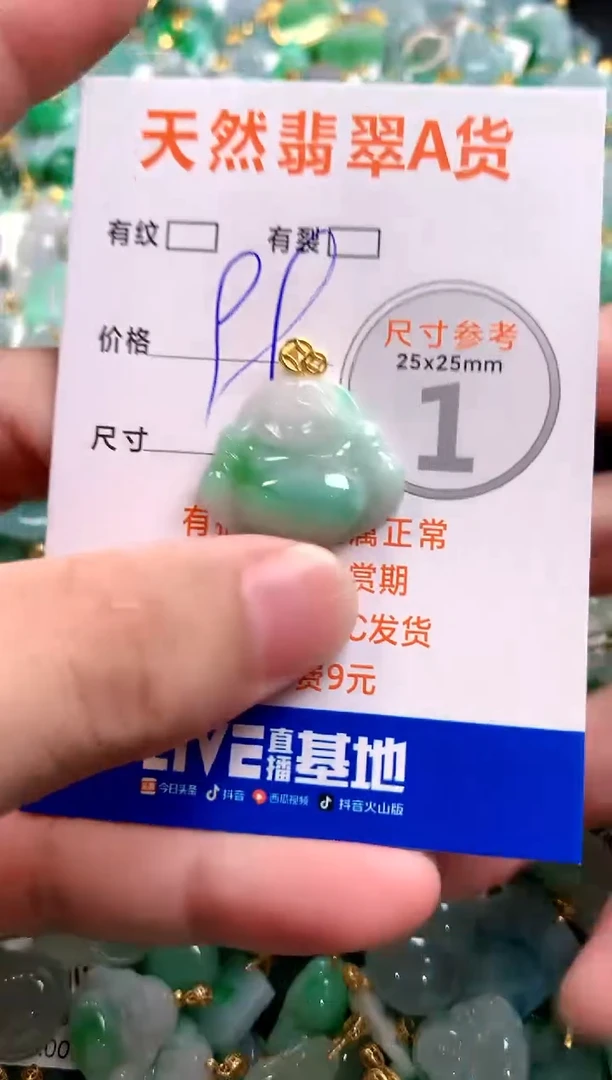 颈饰未镶嵌翡翠14007054