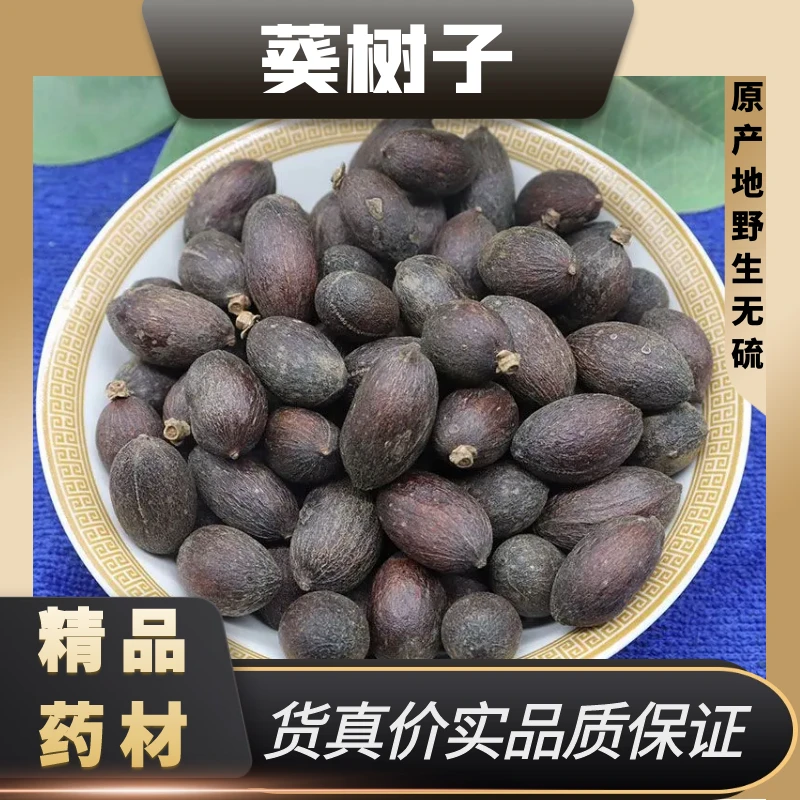 精选野生葵树子中药材广西大粒葵树籽老果葵扇子辣木籽蒲葵籽
